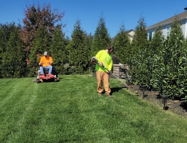 How To Use Landscaping To Naturally Cool Your Home