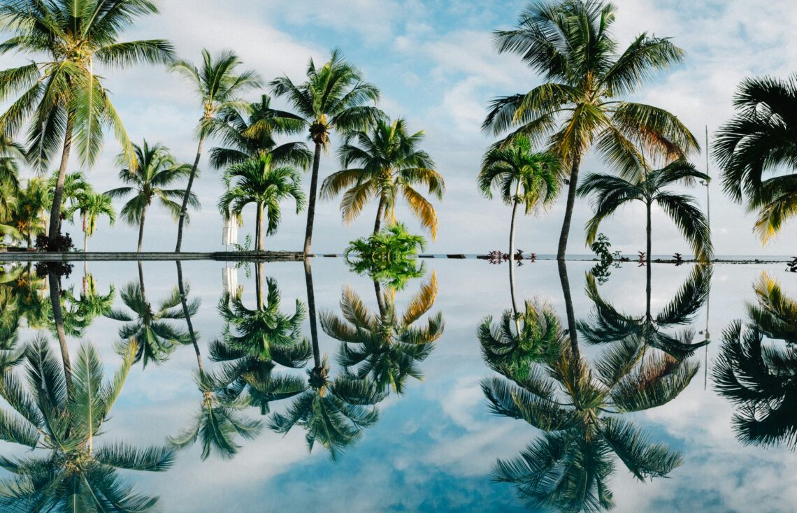 Best HD Backgrounds for Stunning Desktop and Mobile Screens