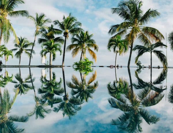 Best HD Backgrounds for Stunning Desktop and Mobile Screens