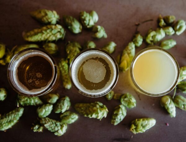 Hops 101: How to Pick the Best Hops for Your Homebrew