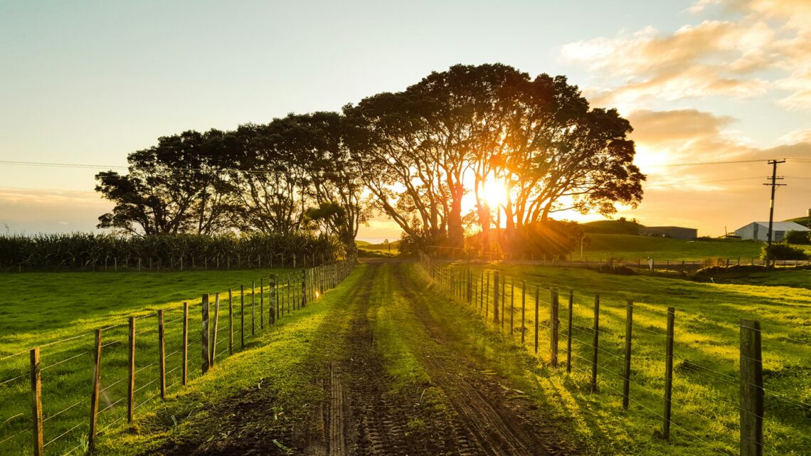Understanding Toronto’s Land Transfer Tax Before You Buy