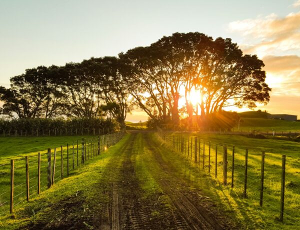 Understanding Toronto’s Land Transfer Tax Before You Buy